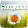 Fotogalerie